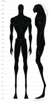 Male Dawn Hunter, back and side views