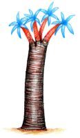 Finger Tree