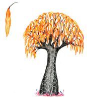 Fire Tree