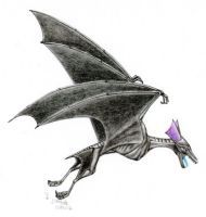 Male Shadow Wing