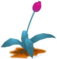 Sleep Flower plant