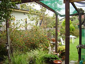 Next-door extension