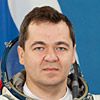 Skripochka (NASA, 2010)